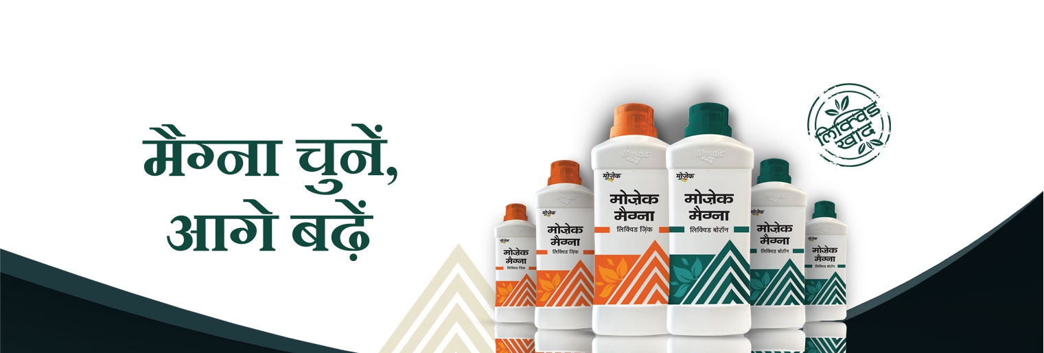 Top Fertilizer Company Mosaic India top-fertilizer-company-mosaic-india