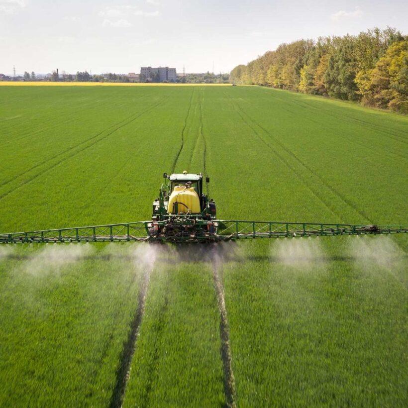 significance of boron in agriculture Archives Mosaic India