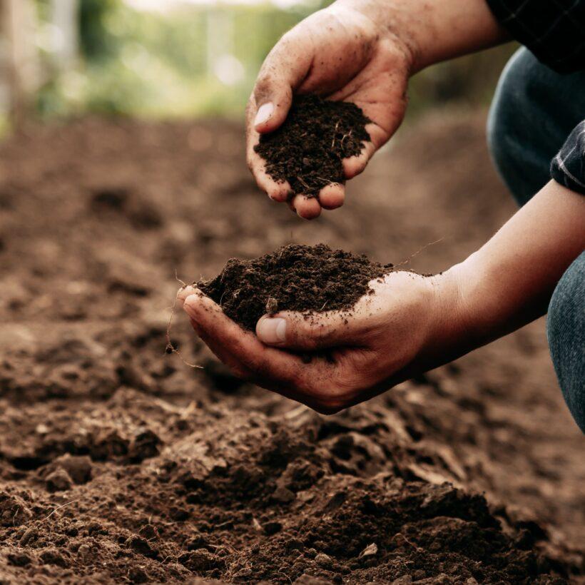Soil Health and Balanced Crop Nutrition