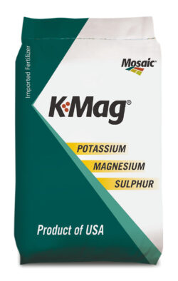 K-Mag-Mockup.jpg