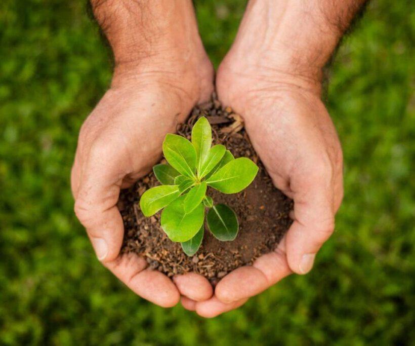 Integrated Farming System - A Sustainable Model for Indian Agriculture