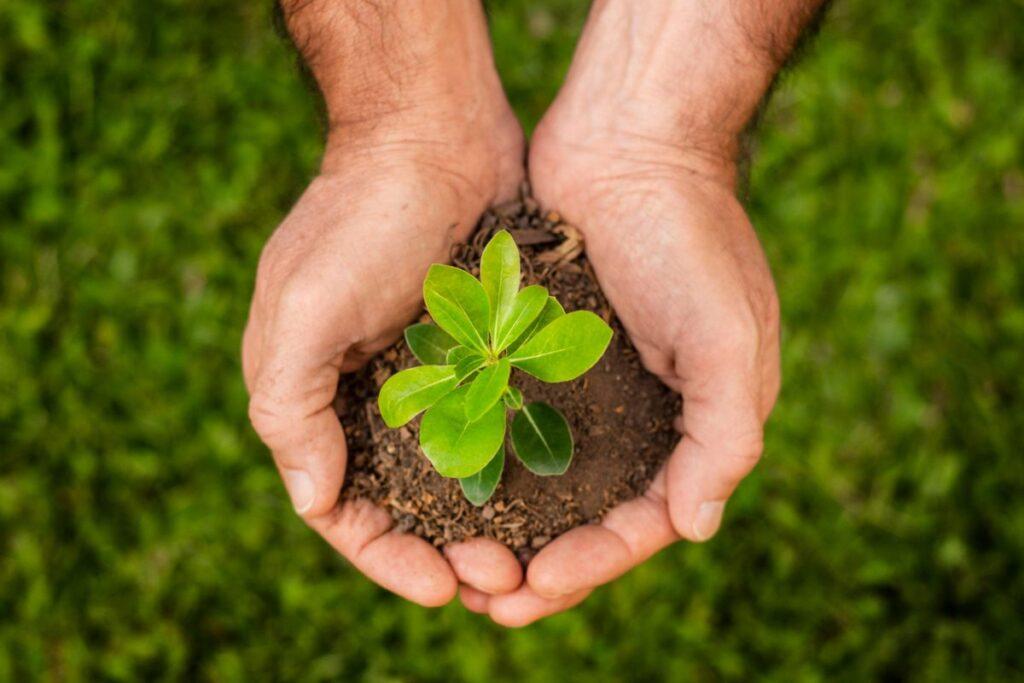 Integrated Farming System - A Sustainable Model for Indian Agriculture