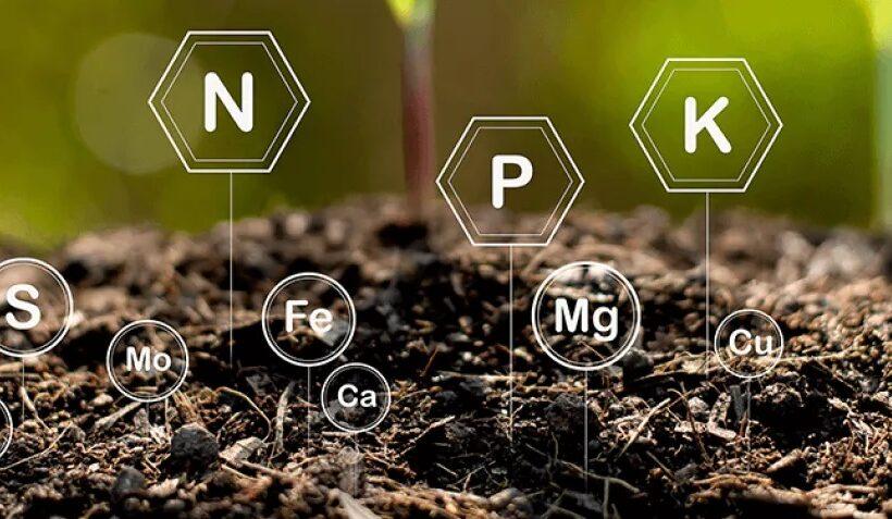 Nutrient Interaction in Soil