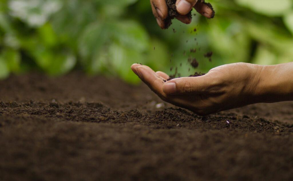 Role of Soil Microbes in Agriculture