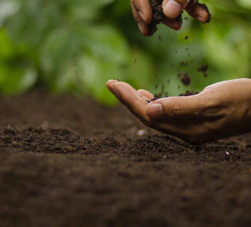 Role of Soil Microbes in Agriculture