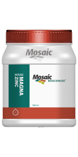 AT_25470_BHAGYALAXMI_500ML_HDPE_SQ_PLAIN_JAR_05-1-scaled.png