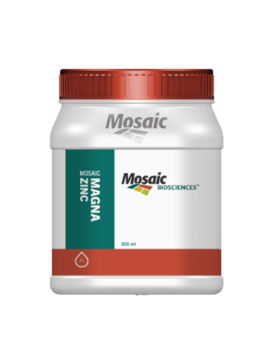 AT_25470_BHAGYALAXMI_500ML_HDPE_SQ_PLAIN_JAR_05-1-scaled.png